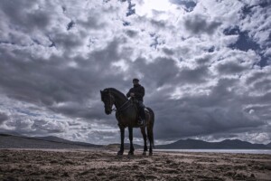 Diablo, legendary film horse