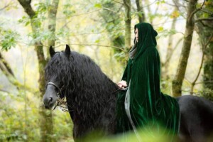 Friesian stallion with Amie Laws in a photo shoot Friesian stallion with Amie Laws in a photo shoot