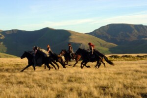 Colour of Magic for Sky - horses and Snowdonia mountains