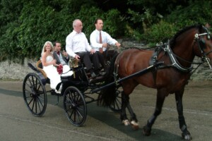 Dylan driving Austrian Phaeton Dylan driving Austrian Phaeton
