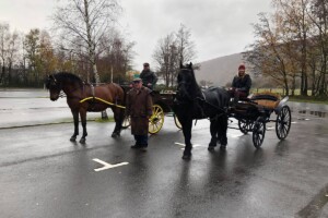 I'm a Celebrity - Austrian Phaeton & Wagonette I'm a Celebrity - Austrian Phaeton & Wagonette