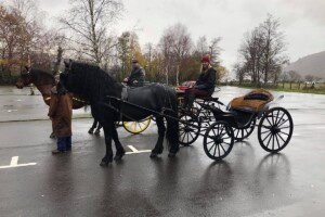 I'm a Celebrity - Austrian Phaeton I'm a Celebrity - Austrian Phaeton