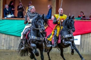 Lusitano breed show display Lusitano breed show display