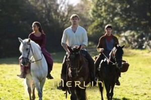 Our horses Our horses