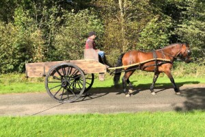 Period box cart Period box cart