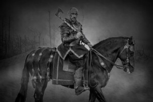 Photoshoot for Norse Dragon Armoury - Dylan on Casquito