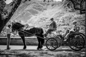 Photoshoot with Odysseus (Friesian stallion) with the magnificent backdrop of the Snowdonia mountains